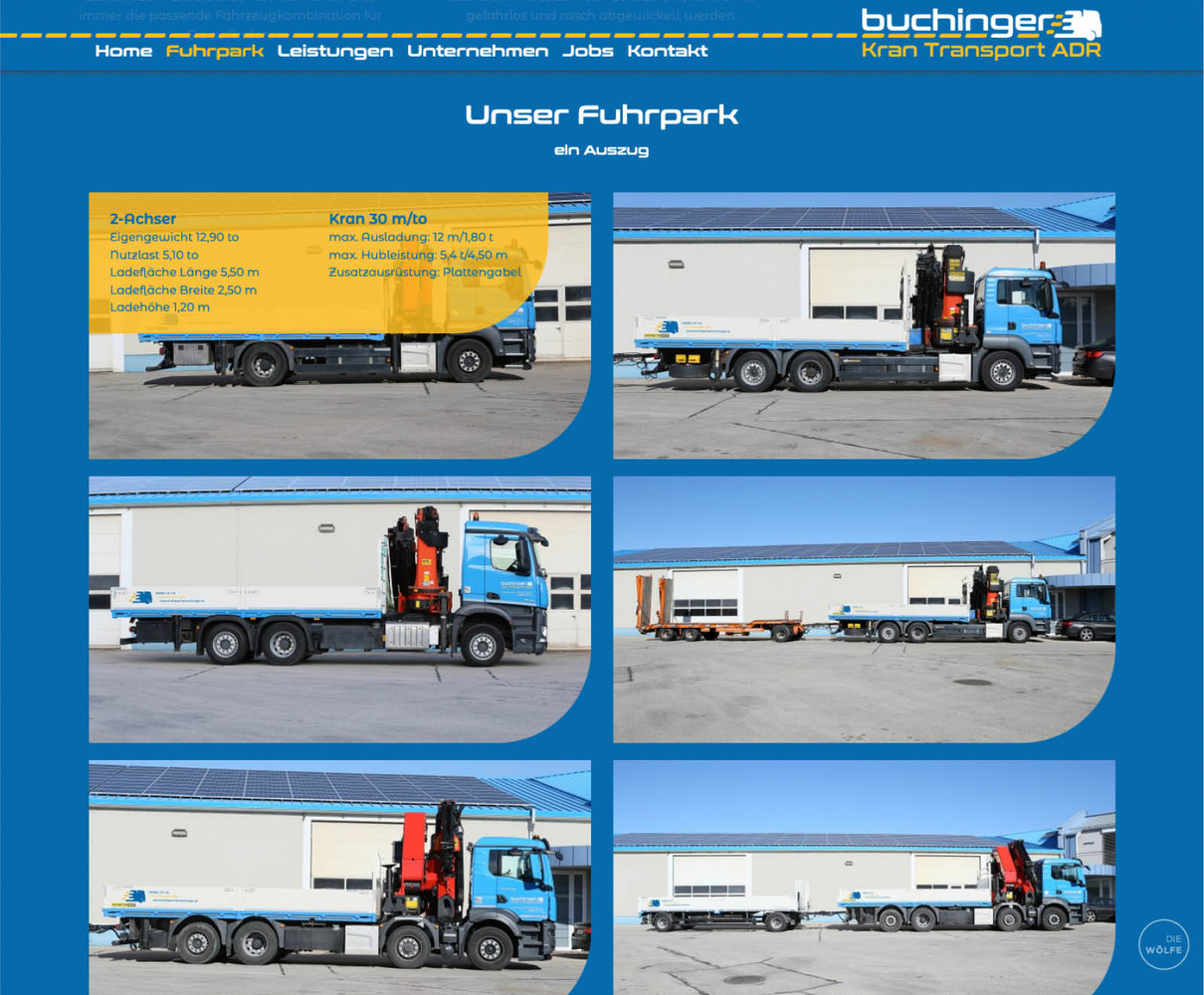 Buchinger Website
